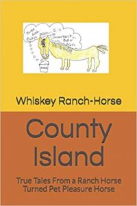County Island: True Tales From a Ranch Horse Turned Pet Pleasure Horse | Equus Education