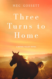 Three Turns to Home by Meg Gossett | Equus Education